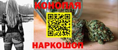 индика Мариинск