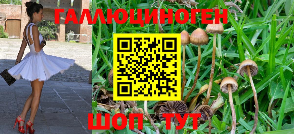 Псилоцибиновые грибы GOLDEN TEACHER  Псилоцибиновые грибы MAGIC MUSHROOMS  Великие Луки  Вход с VPN 